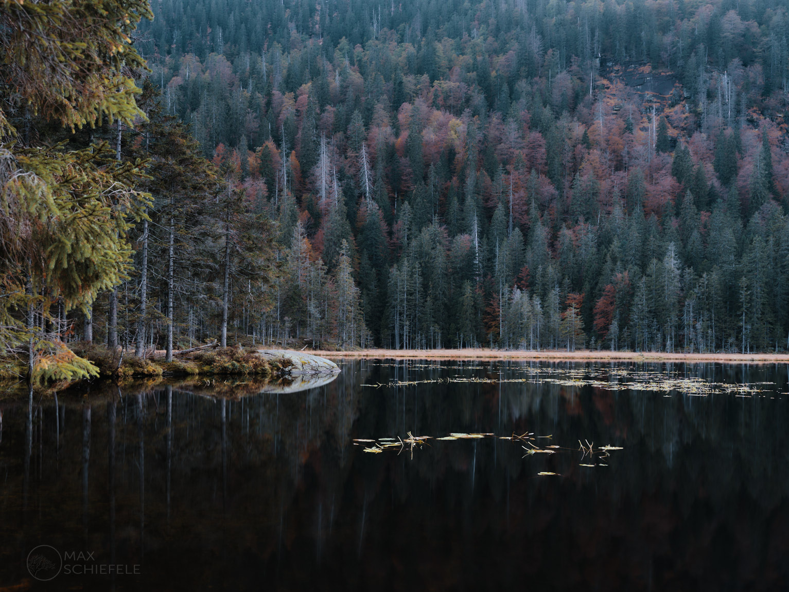 Großer Arbersee nach Sonnenuntergang